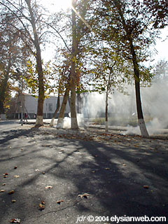 leaf burning in ferghana