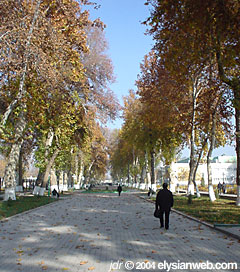 ferghana in the fall