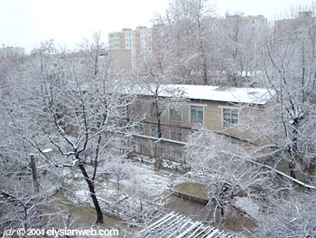 Tashkent covered in snow on Dec. 18